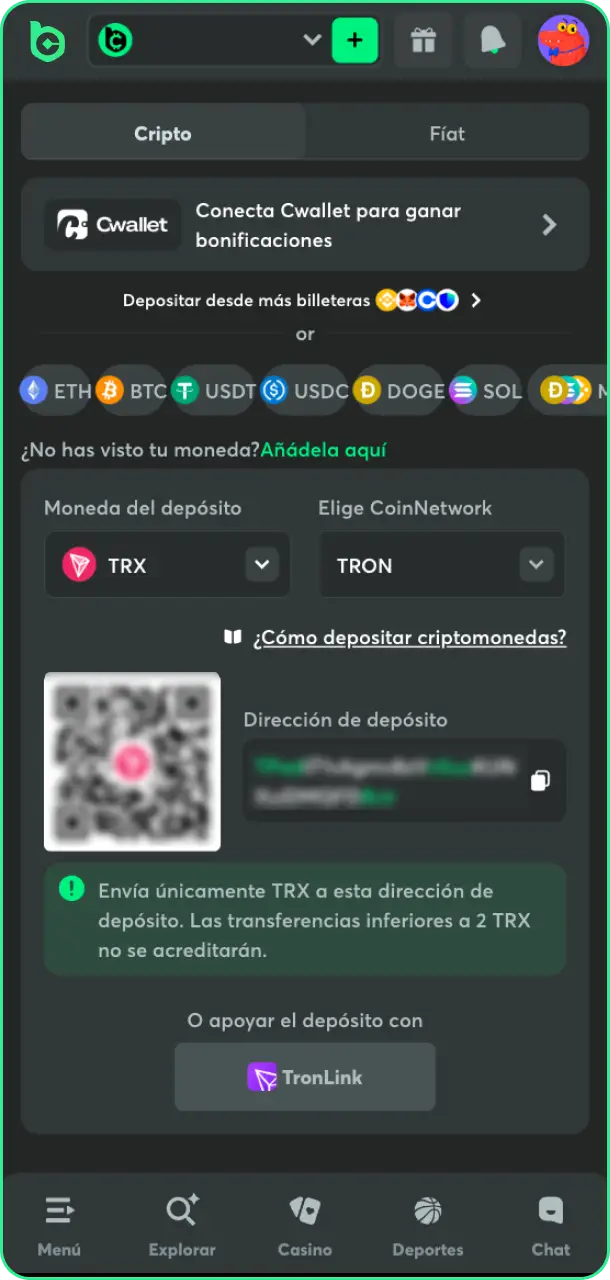 Indica la cantidad de dinero siguiendo los pasos de las instrucciones de depósito en BC Game.