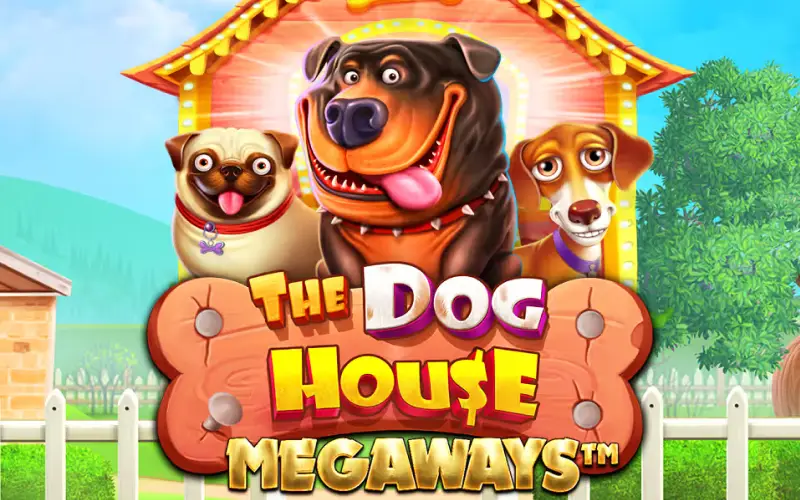 Prueba el divertido juego de casino The Dog House Megaways dentro de BC Game.